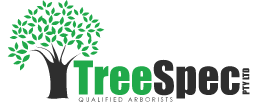 TreeSpec Qualified Arborists