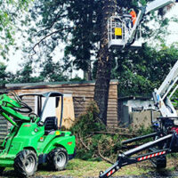 tree-pruning