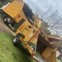 tree-spec-gallery-new_13