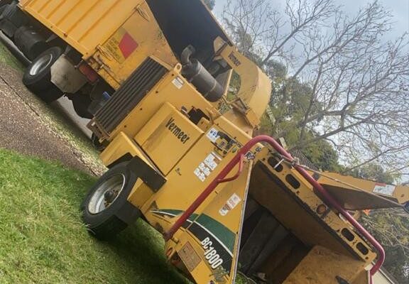 tree-spec-gallery-new_13