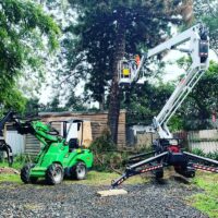 tree-spec-gallery_6